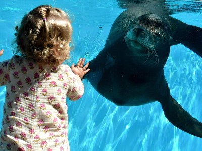 Holiday house Bungalow in Breskens nahe Strand und Dünen - Environment photo 30