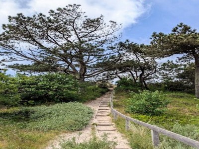 Holiday house 4 star holiday home in Ulfborg - Outdoor photo 6