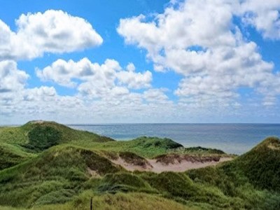 Holiday house 4 star holiday home in Ulfborg - Outdoor photo 25