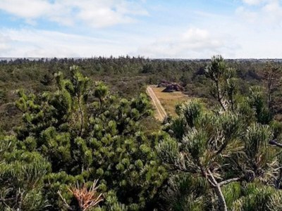 Holiday house 4 star holiday home in Ulfborg - Outdoor photo 26