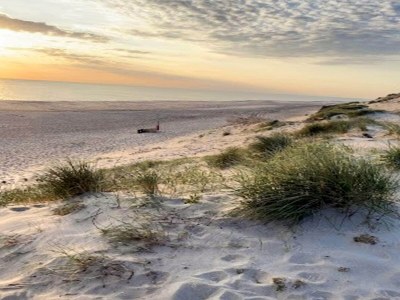 Holiday house 4 star holiday home in Ulfborg - Outdoor photo 27