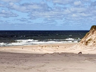 Holiday house 4 star holiday home in Ulfborg - Outdoor photo 28