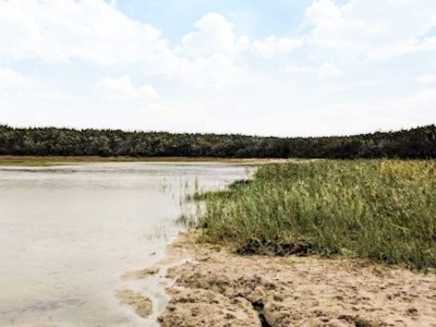 Holiday house 4 star holiday home in Ulfborg - Outdoor photo 29