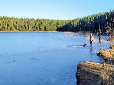 Holiday house 4 star holiday home in Ulfborg - Outdoor photo 31