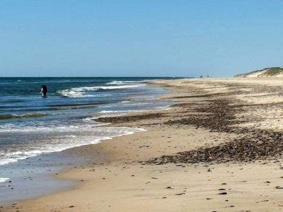 Holiday house 4 star holiday home in Ulfborg - Outdoor photo 33