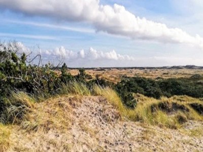 Holiday house 4 star holiday home in Ulfborg - Outdoor photo 35