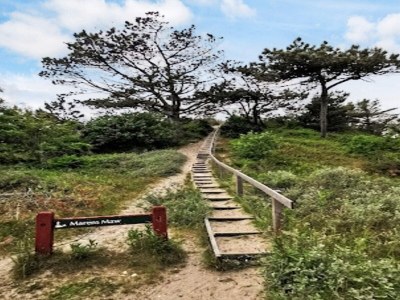 Holiday house 4 star holiday home in Ulfborg - Outdoor photo 43