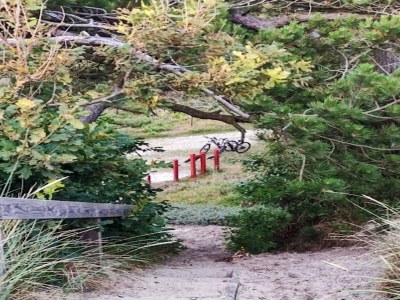 Holiday house 4 star holiday home in Ulfborg - Outdoor photo 44