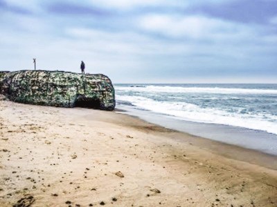 Holiday house 4 star holiday home in Ulfborg - Outdoor photo 45