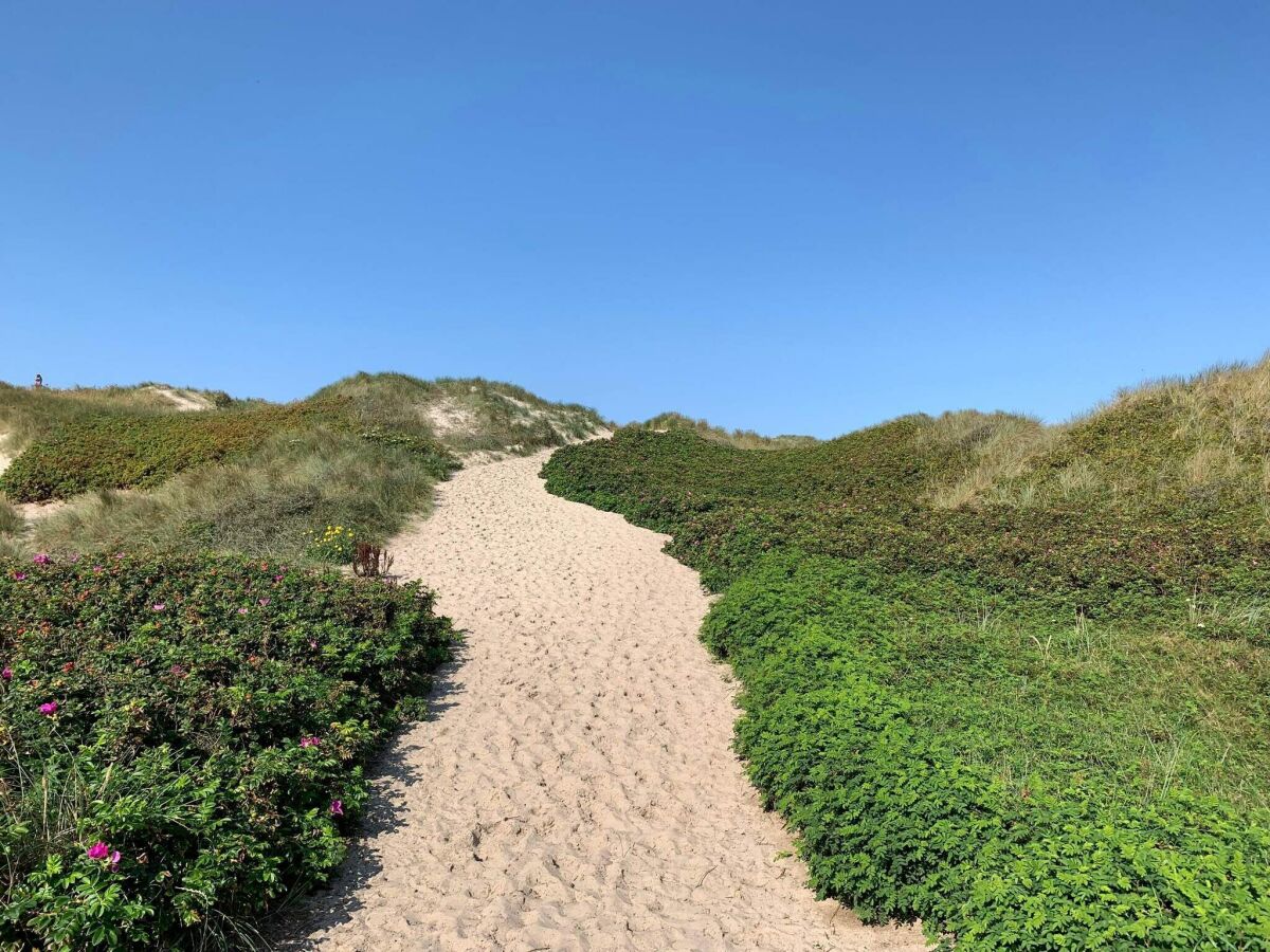 Holiday house 4 star holiday home in Ringkøbing - Outdoor photo 5