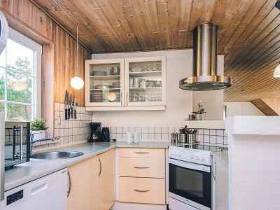 Holiday house 4 star holiday home in Ringkøbing - Outdoor photo 10