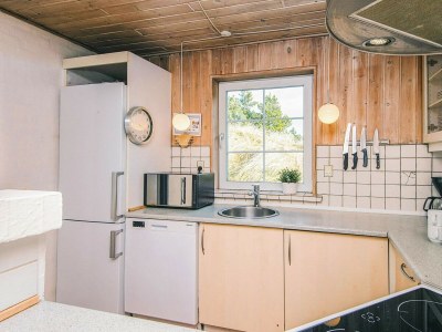 Holiday house 4 star holiday home in Ringkøbing - Outdoor photo 11