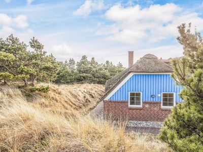 Holiday house 4 star holiday home in Ringkøbing - Outdoor photo 29