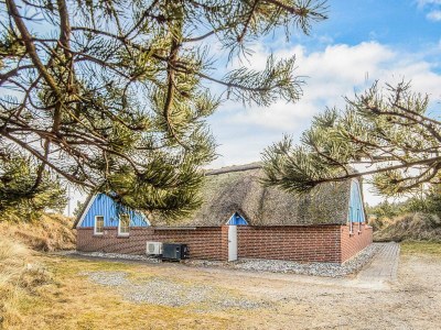 Holiday house 4 star holiday home in Ringkøbing - Outdoor photo 30