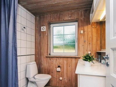 Holiday house 4 star holiday home in Ringkøbing - Outdoor photo 36