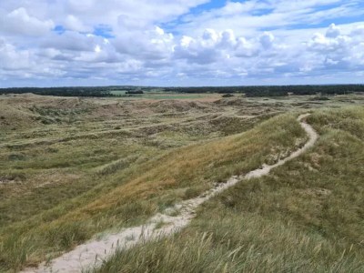 Holiday house 4 Sterne Ferienhaus in Ulfborg - Outdoor photo 25