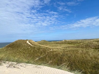 Holiday house 4 Sterne Ferienhaus in Ulfborg - Outdoor photo 26