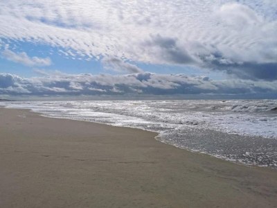 Holiday house 4 Sterne Ferienhaus in Ulfborg - Outdoor photo 32