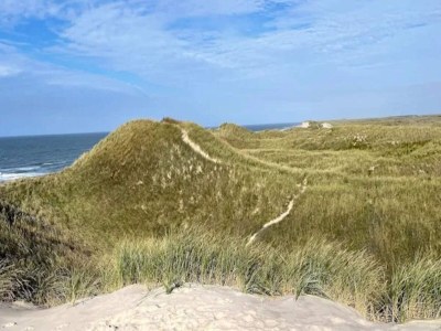 Holiday house 4 Sterne Ferienhaus in Ulfborg - Outdoor photo 50