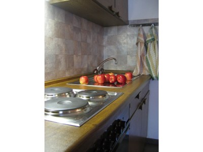 Farmhouse Holiday apartment Leitner "Pony-Goat-Rabbit Ranch" No. 3 - Features photo 7