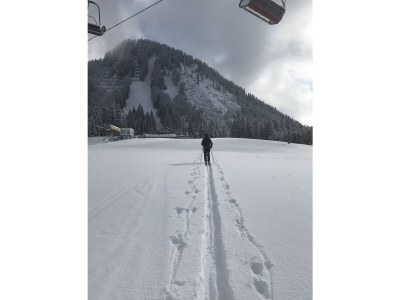 Farmhouse Holiday apartment Leitner "Pony-Goat-Rabbit Ranch" No. 3 - Environment photo 19