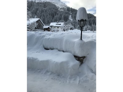 Farmhouse Holiday apartment Leitner "Pony-Goat-Rabbit Ranch" No. 3 - Environment photo 20