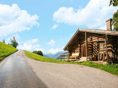 Apartment Apartment in Distelberg near Ski Slopes - Environment photo 34