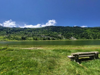 Holiday park Gemütliches Alpenapartment - Environment photo 30