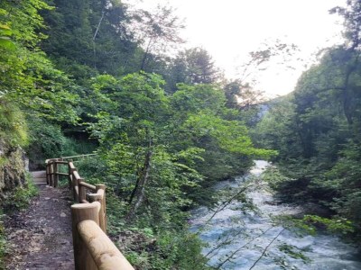 Holiday park Gemütliches Alpenapartment - Environment photo 31