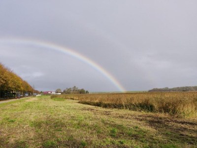 Holiday park Modern Bungalows by the Sea - Environment photo 19