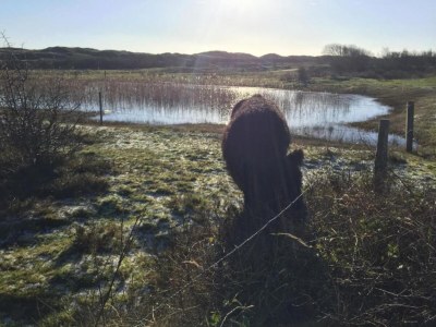 Holiday park Modern Bungalows by the Sea - Environment photo 24