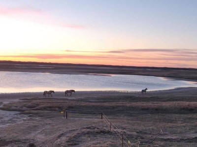Holiday park Modern Bungalows by the Sea - Environment photo 25
