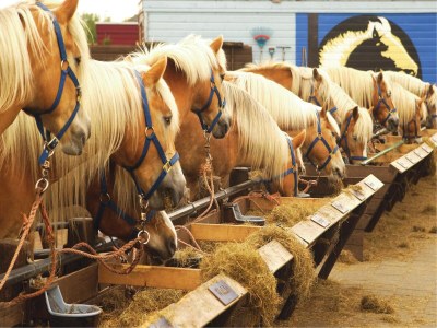 Holiday park Modern Bungalows by the Sea - Outdoor photo 40