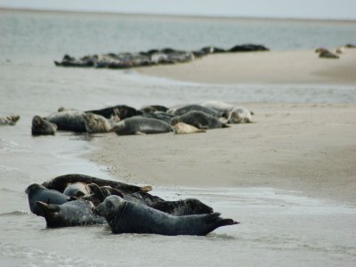 Holiday park Spacious Island Getaway - Environment photo 24