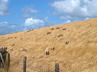 Holiday park Spacious Island Getaway - Environment photo 28