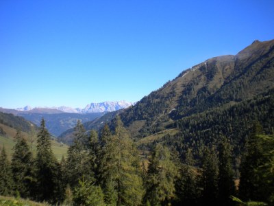 Alpine hut Gassner - Environment photo 12