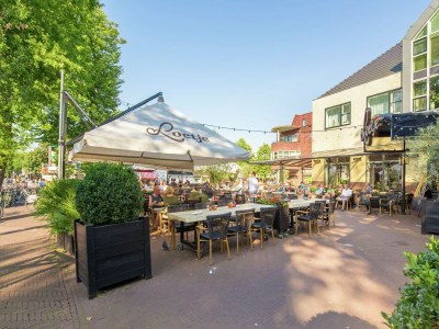 Holiday park Chalet in Netherlands with Open Garden - Environment photo 22