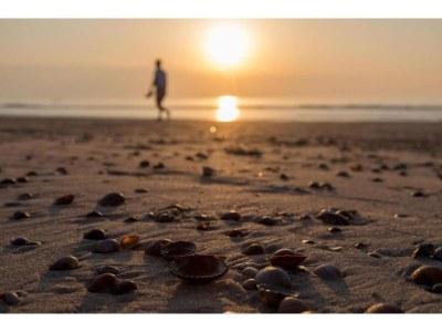 Holiday park Wohnung in Domburg nahe Strand - Environment photo 55