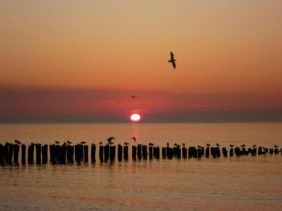 Holiday park Wohnung in Domburg nahe Strand - Environment photo 64