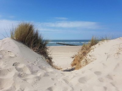 Holiday park Modern Domburg Apartment - Environment photo 22