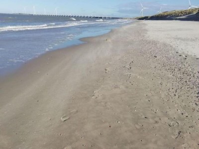 Holiday park Villa in Netherlands near Roompot Beach - Environment photo 18