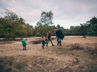 Holiday park Woodland Retreat near Breda - Environment photo 17