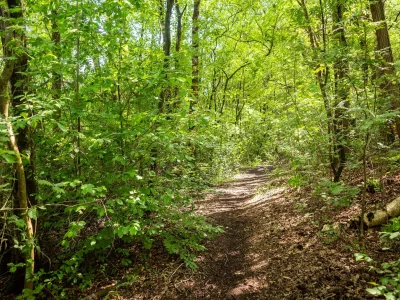 Holiday house Cozy Villa w/ Sauna and BBQ - Environment photo 18