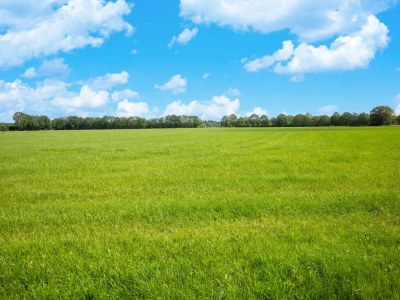 Holiday house Cozy Villa w/ Sauna and BBQ - Environment photo 19