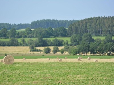 Holiday house Cozy Villa w/ Sauna and BBQ - Environment photo 26