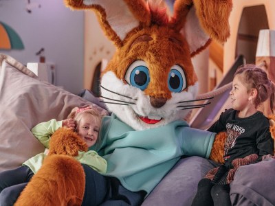 Holiday park Spacious bungalow near the Hunebedcentrum - Outdoor photo 33