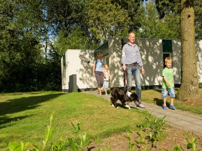 Holiday park Forest Trails & Swimming Fun - Outdoor photo 3