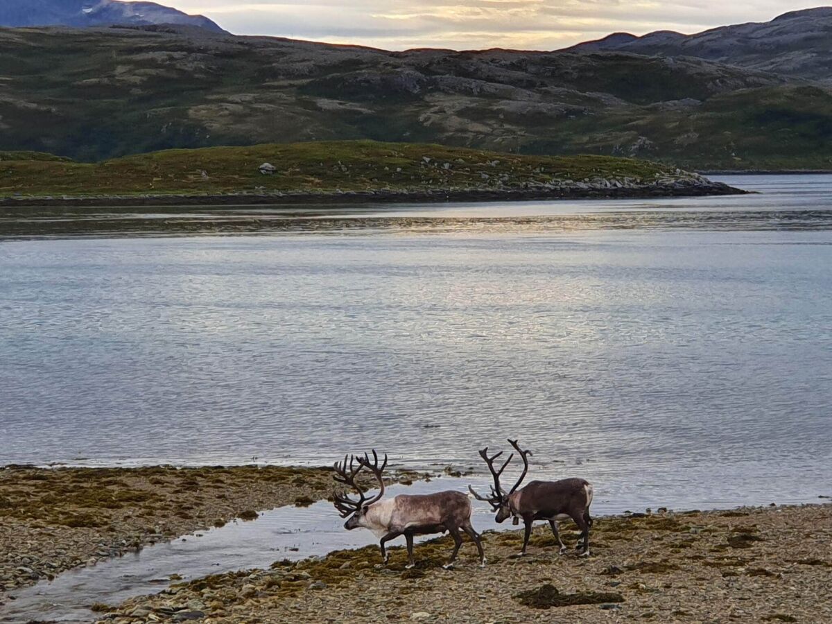 Holiday house 6 Personen Ferienhaus in Rebbenes - Outdoor photo 3