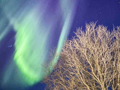 Holiday house 6 Personen Ferienhaus in Rebbenes - Outdoor photo 7