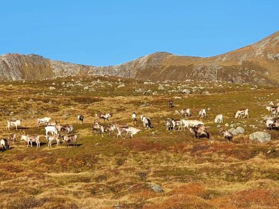 Holiday house 6 Personen Ferienhaus in Rebbenes - Outdoor photo 8